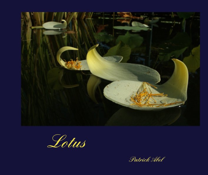 Ver Lotus por Patrick Abel
