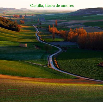 Castilla, tierra de amores book cover