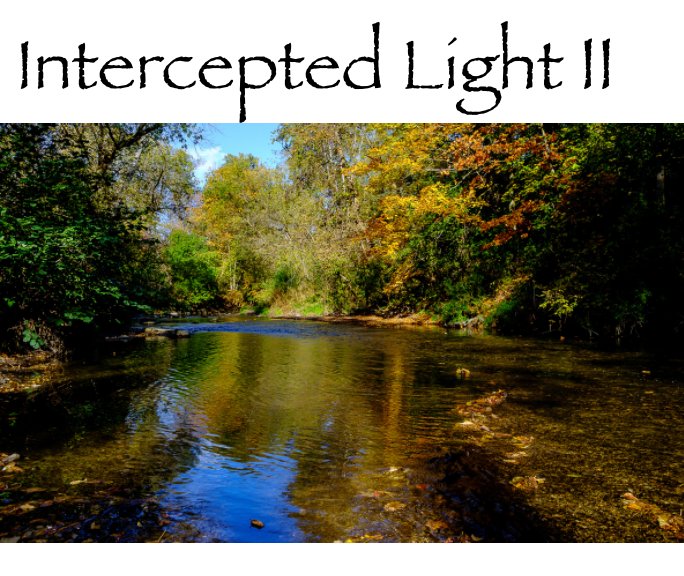 View Intercepted Light II by Peter Cameron