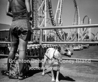 Brighton Beach and Coney Island - 2016 book cover
