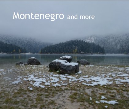 Montenegro and more book cover