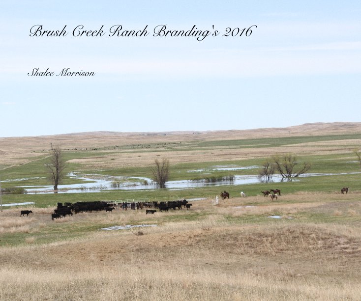 View Brush Creek Ranch Branding's 2016 by Shalee Morrison