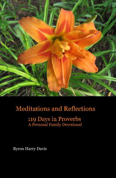 Ver Meditations and Reflections 119 Days in Proverbs A Personal Family Devotional por Byron Harry Davis