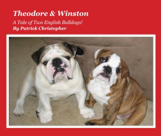 Theodore & Winston book cover