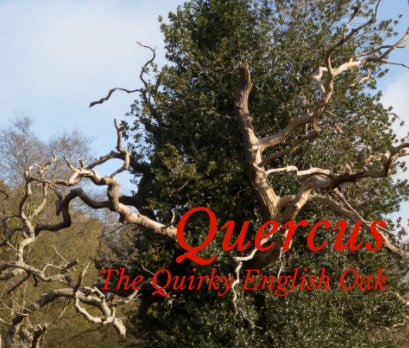 Quercus book cover
