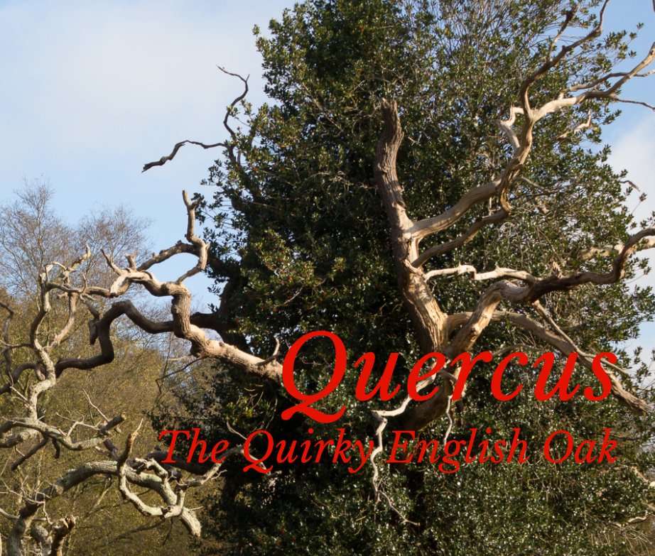 View Quercus by Robin Hull