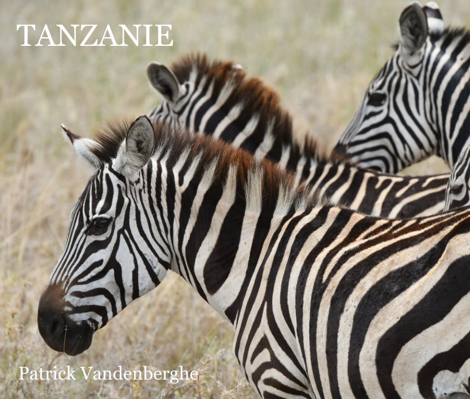 Bekijk Tanzanie op Patrick Vandenberghe