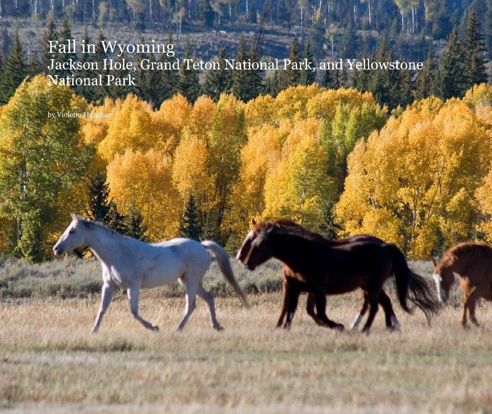 View Fall in Wyoming by Violetta Hargitay