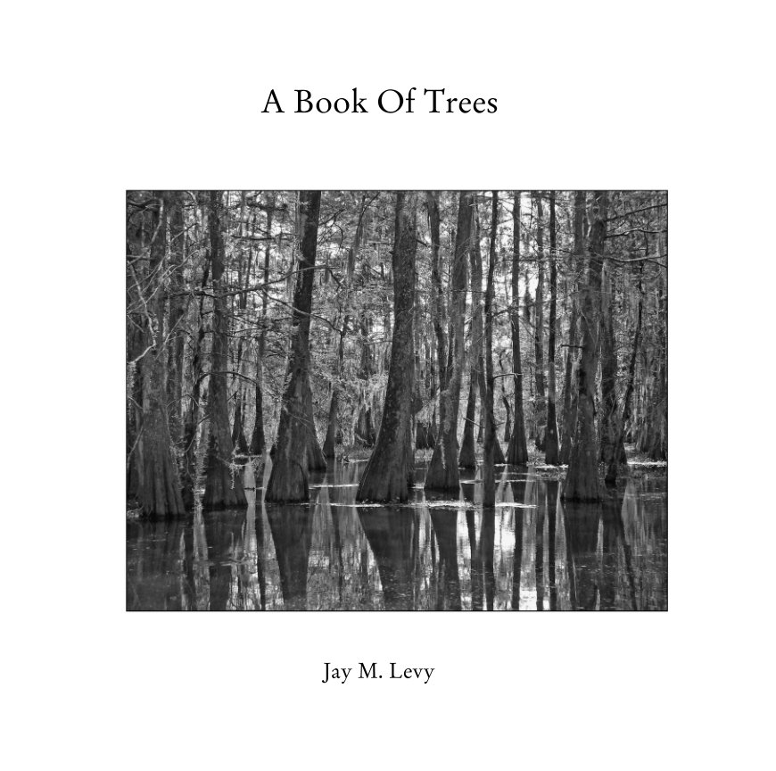 View A Book Of Trees by Jay M. Levy
