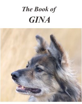 The Book of Gina  December 2000 to May 4th, 2015 book cover
