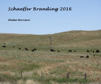 Schaeffer Branding 2016 book cover