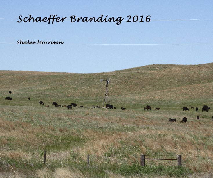 Ver Schaeffer Branding 2016 por Shalee Morrison