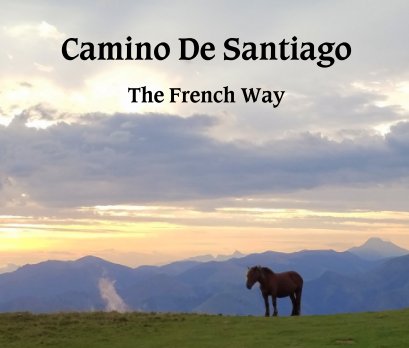 Camino De Santiago book cover