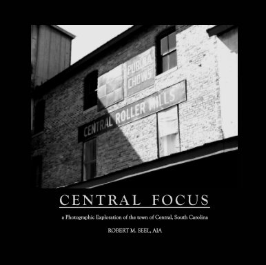 Central Focus book cover