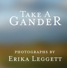Take A Gander book cover