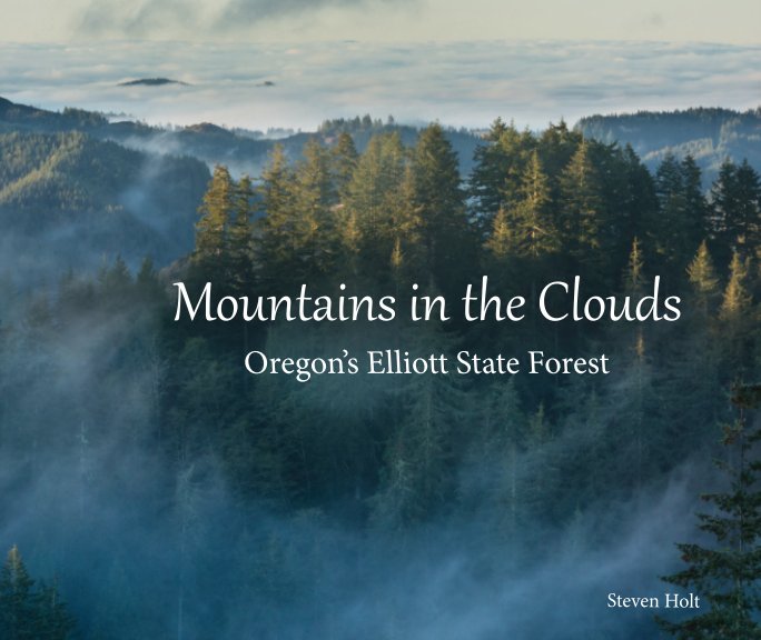 View Mountains in the Clouds - Oregon's Elliott State Forest by Steven Holt