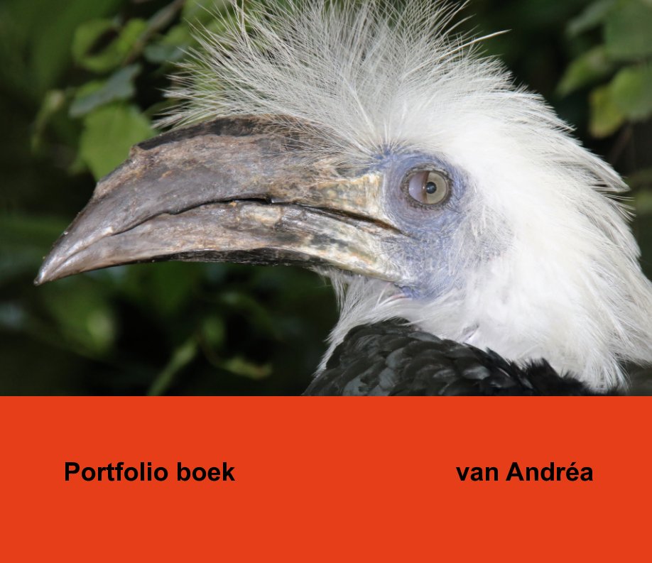 View Portfolio boek 2016 by Andréa Hélène van der Pluijm