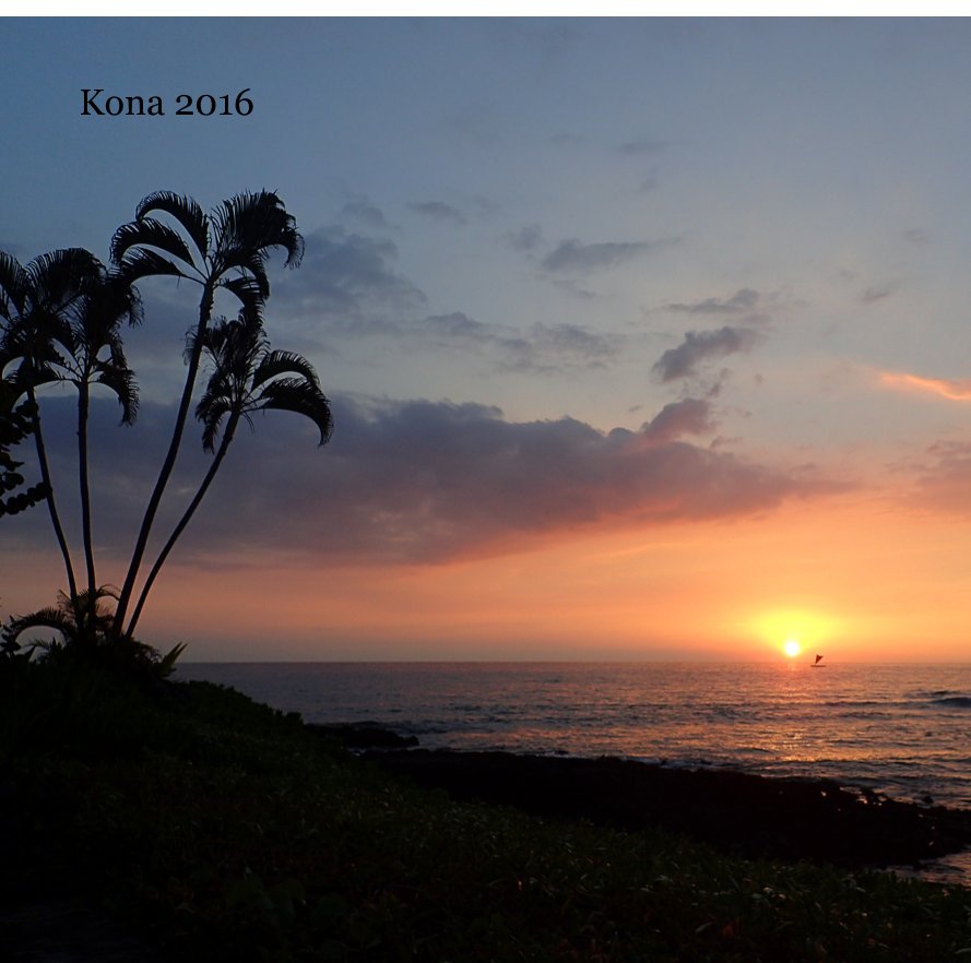 View Kona 2016 by Jan Hannaford