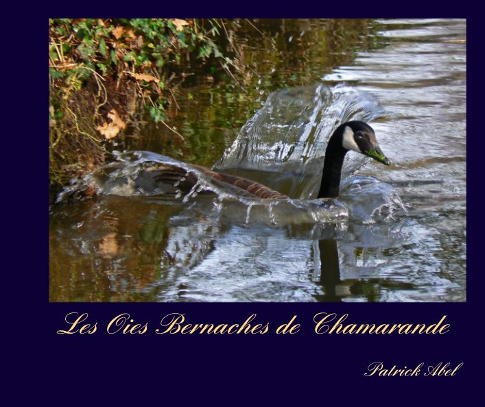 Ver Les Oies Bernaches de Chamarande por Patrick Abel