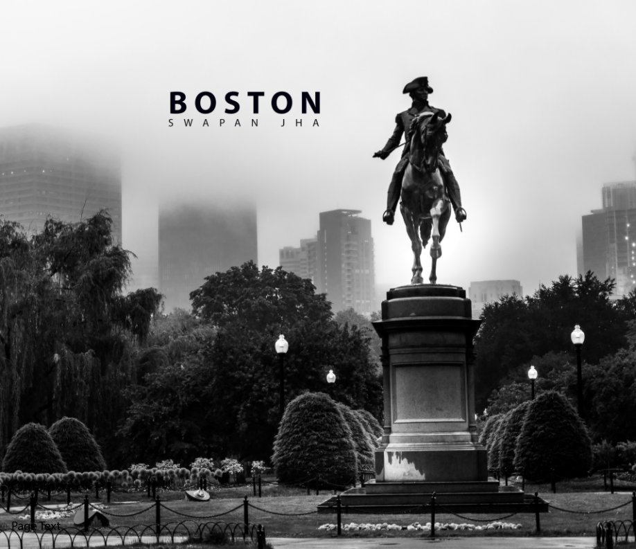 View Boston - Hardcover by Swapan Jha