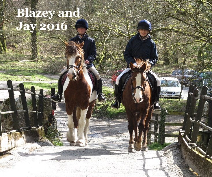 View Blazey and Jay 2016 by Mary Harper