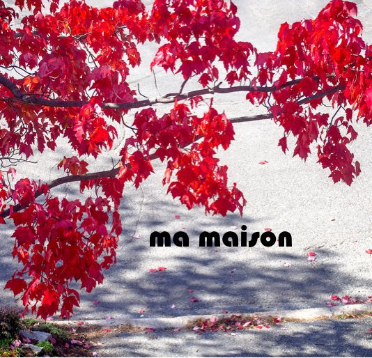 View ma maison by Claire Cloutier