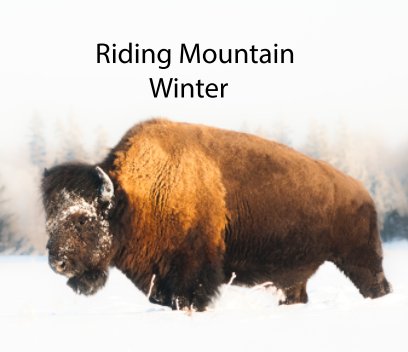 Riding Mountain Winter book cover