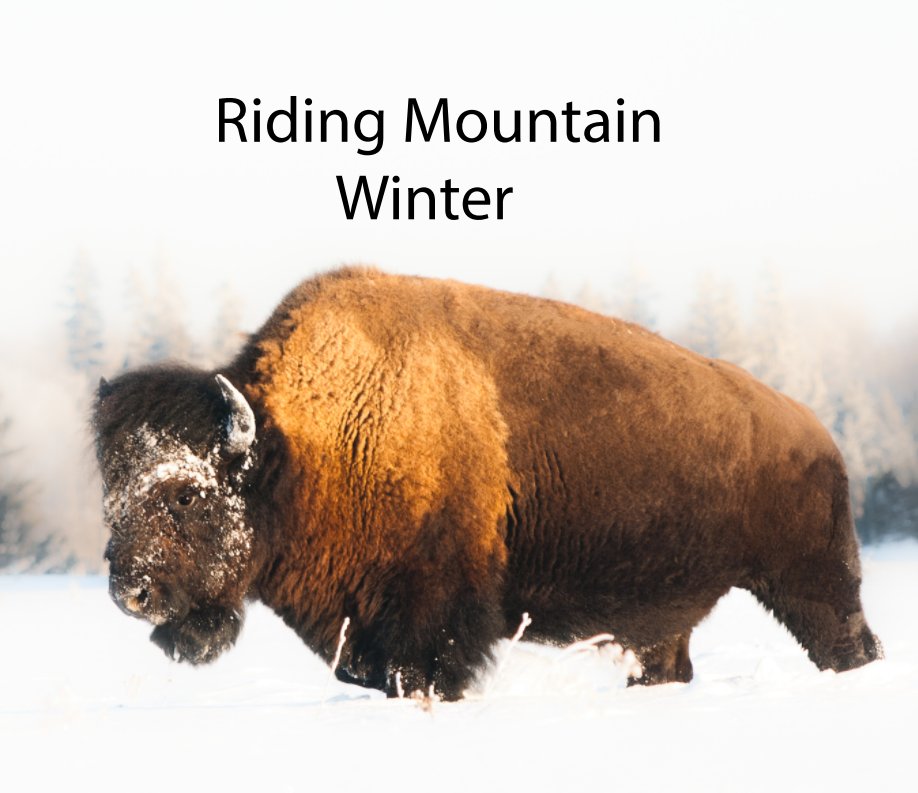 View Riding Mountain Winter by Brian Milne
