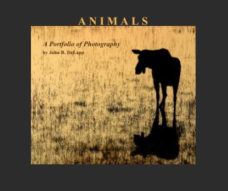 ANIMALS book cover