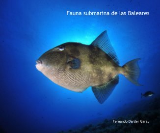 Buceando en Mallorca, Fotografía submarina book cover