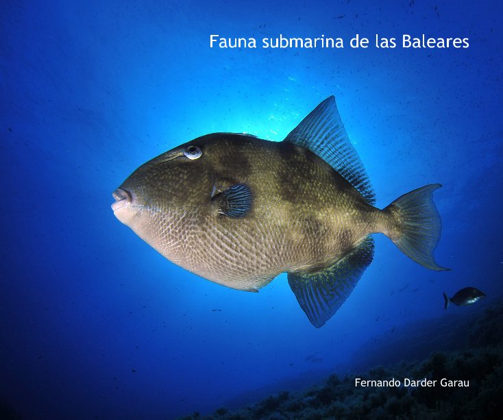 Ver Buceando en Mallorca, Fotografía submarina por Fernando Darder Garau