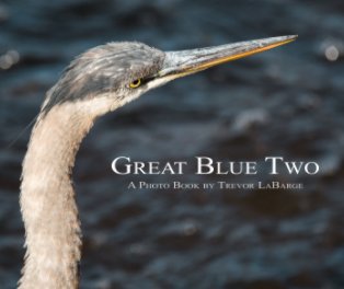 Great Blue Two book cover