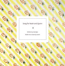 Song for Noah and Quinn book cover