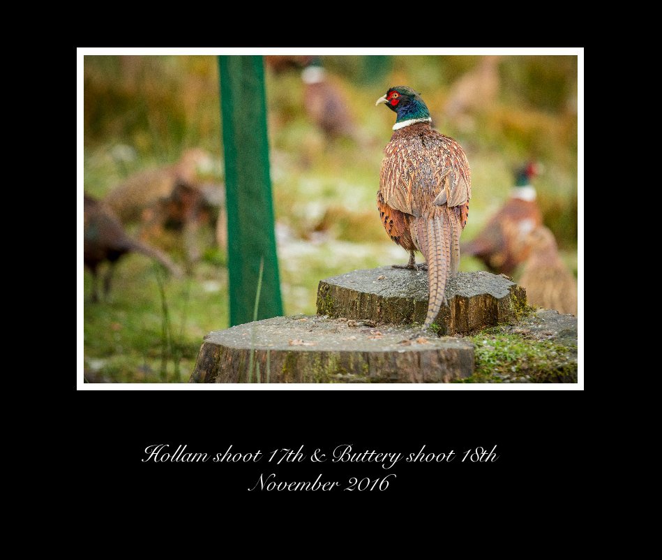 View Hollam shoot 17th & Buttery shoot 18th November 2016 by dean mortimer