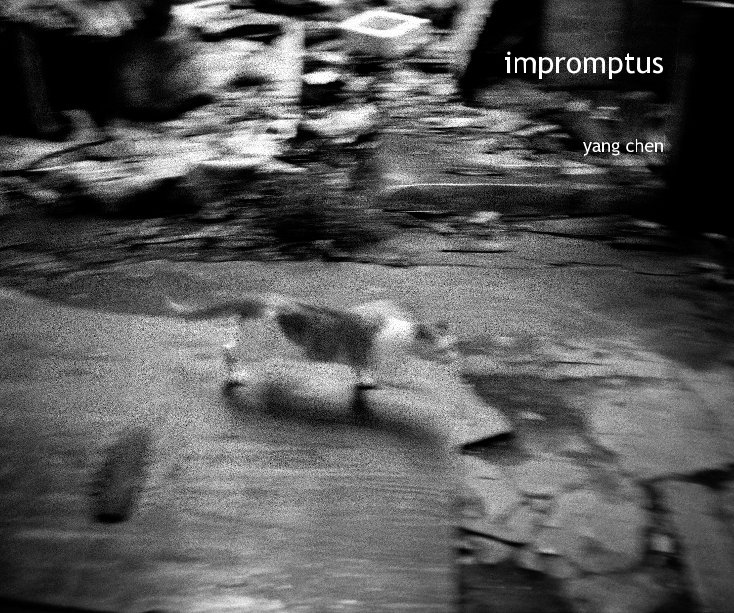 View impromptus by yang chen