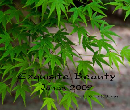 - Exquisite Beauty - book cover