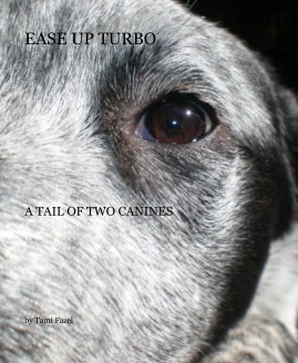 EASE UP TURBO book cover