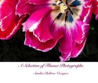 A Selection of Flower Photographs book cover