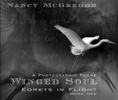 Winged Soul  - Egrets in Flight (Hard Cover) book cover