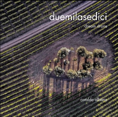 duemilasedici book cover