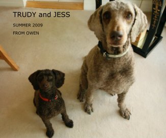 TRUDY and JESS book cover