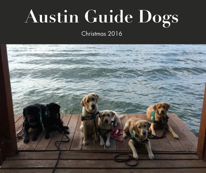View Austin Guide Dogs by Christmas 2016