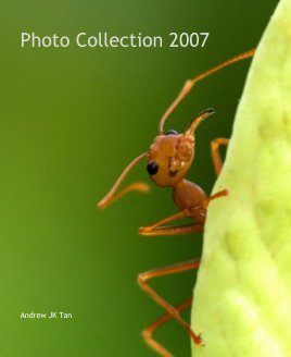 Photo Collection 2007 book cover