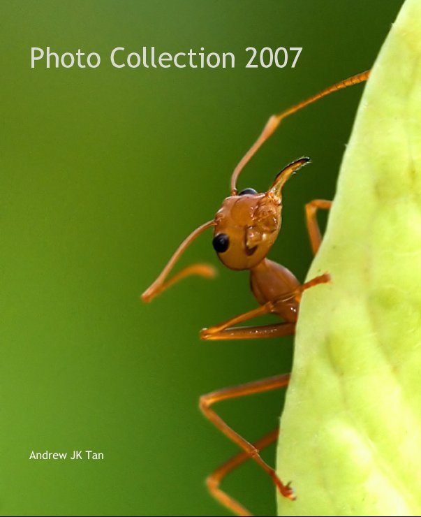 Ver Photo Collection 2007 por Andrew JK Tan