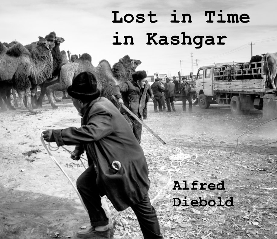 View Lost in Time in Kashgar by Alfred Diebold