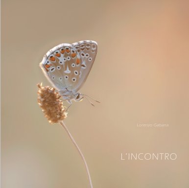 L'INCONTRO book cover