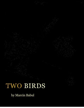 Two Birds: Story of travel book cover
