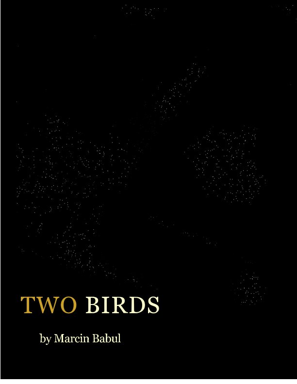 View Two Birds: Story of travel by Marcin Babul