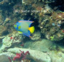 Jay's Reef at Gallows Point book cover