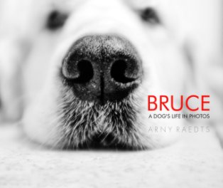 Bruce book cover